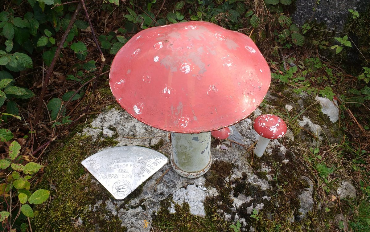 Agerreburu tontorra (835m) 2