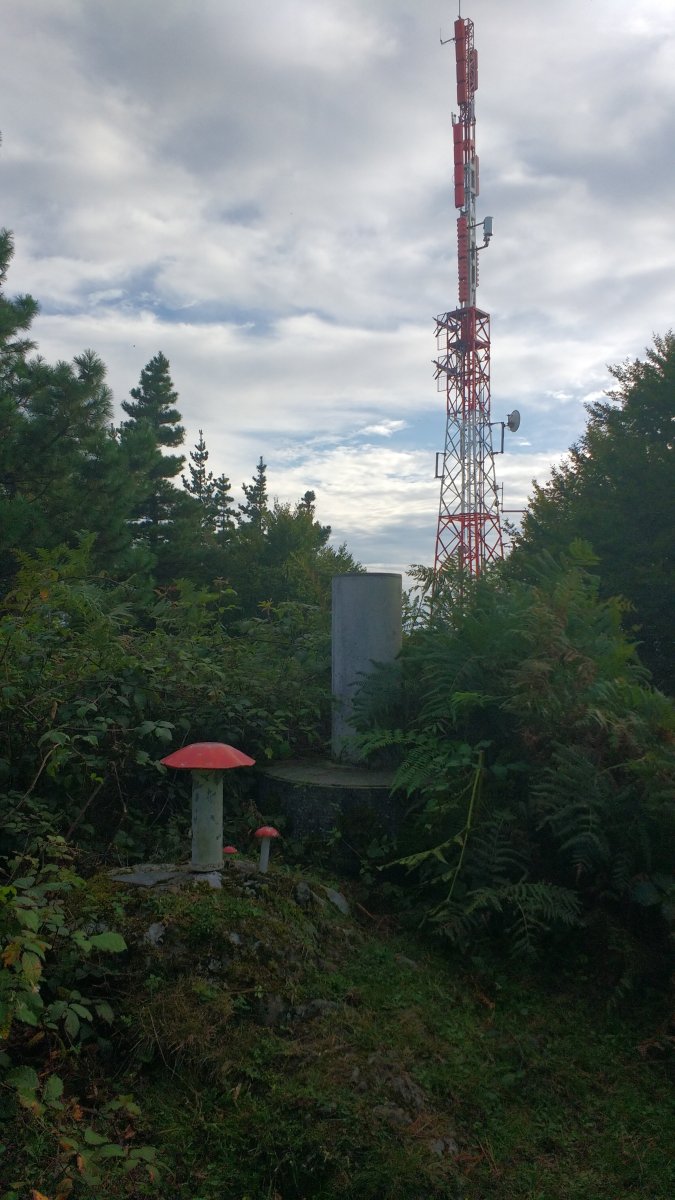 Agerreburu tontorra (835m) 1