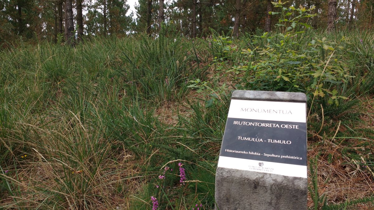 Irutontorreta Mendebaldea tumuloa (2017)