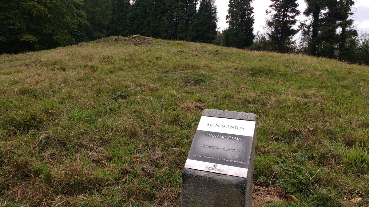 Goinzarizelaia tumuloa (2017)