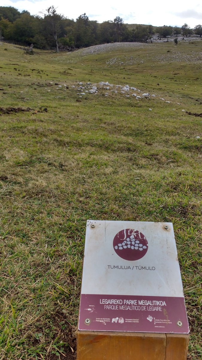 Atau 3 tumularria (2017)