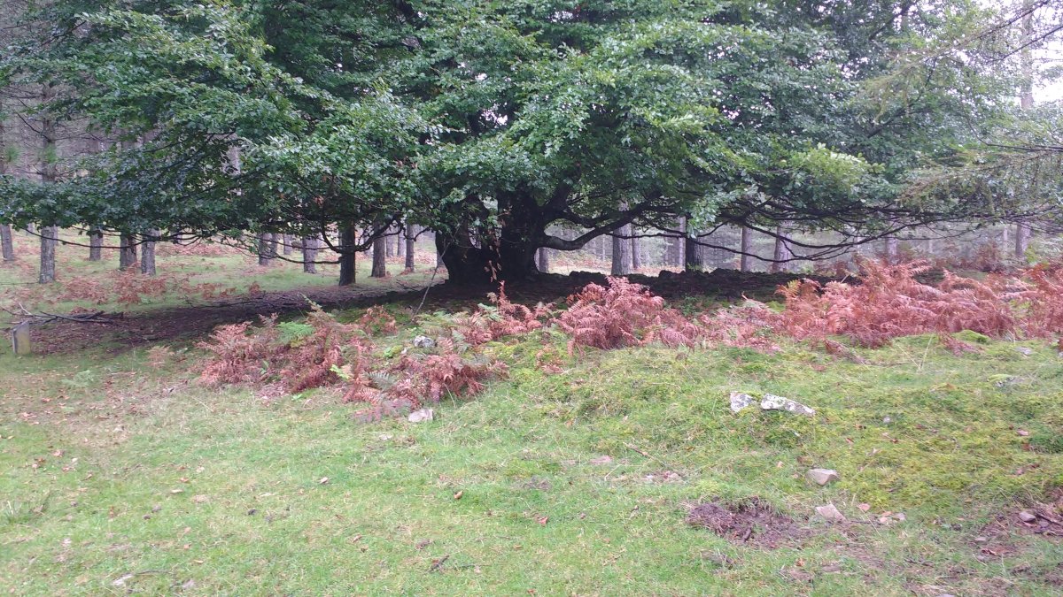 Arrolamendi I tumuloa 5