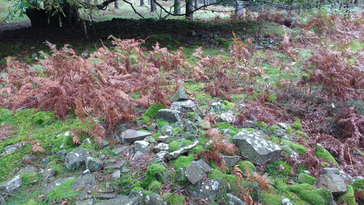 Arrolamendi I tumuloa 3