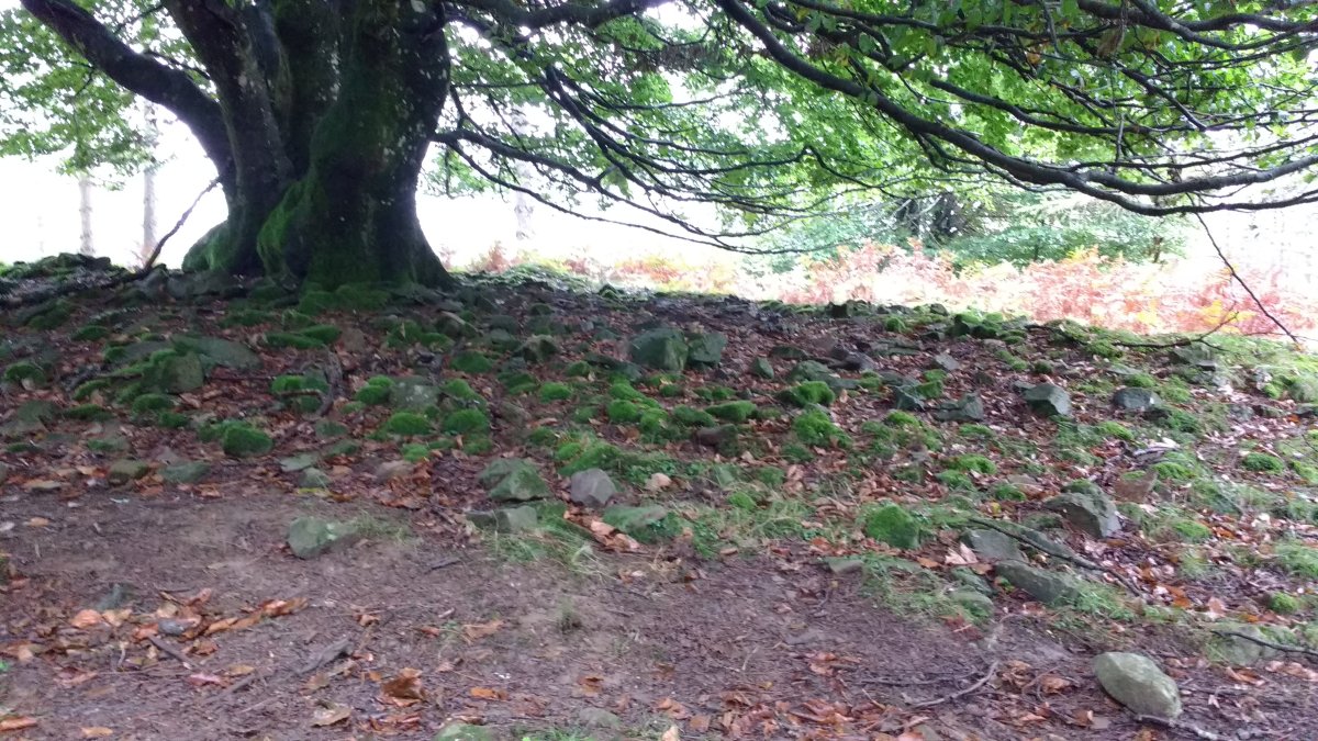 Arrolamendi I tumuloa 2