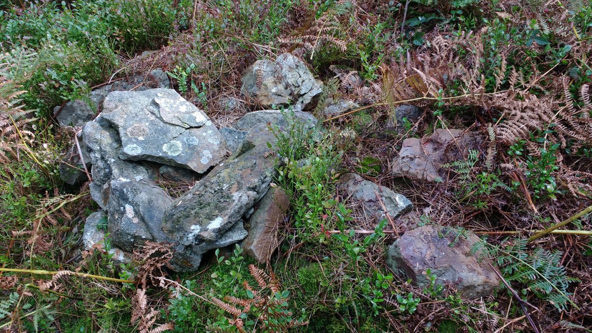 Arrolamendi III tumuloa 3