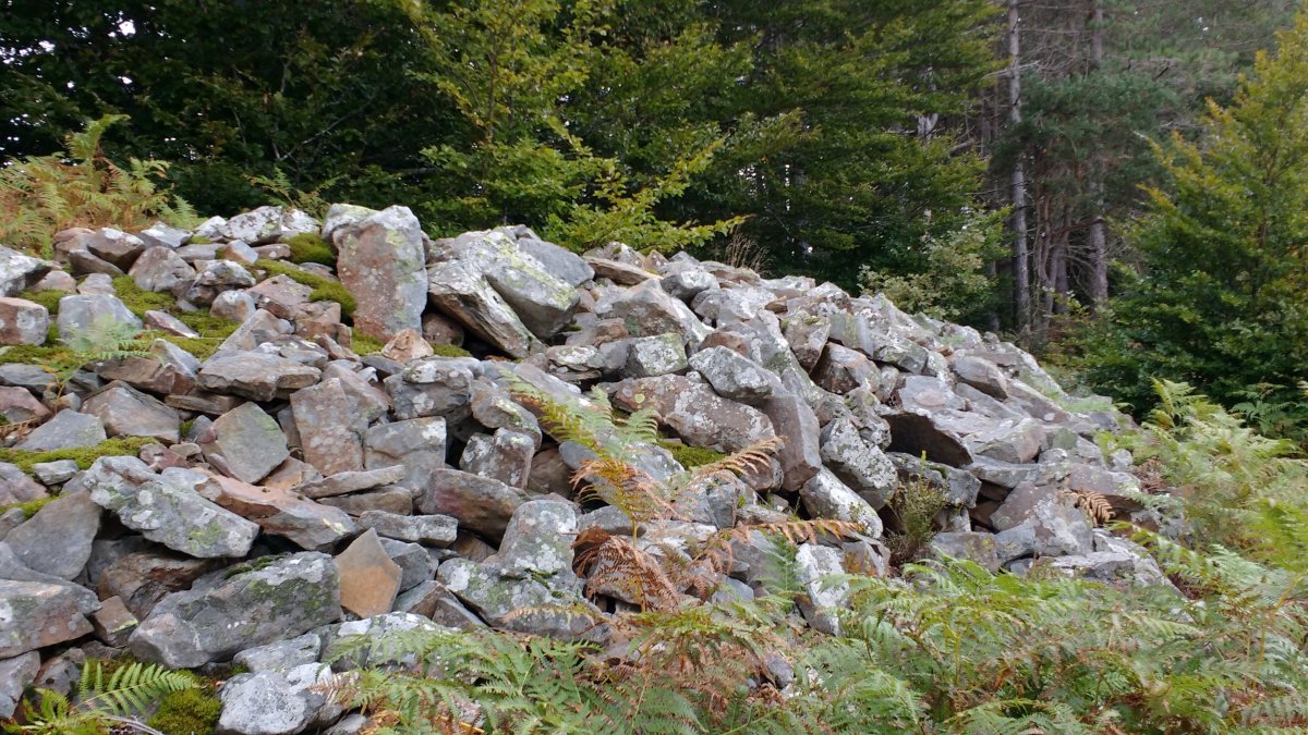 Jentiletxe tumuloa 2