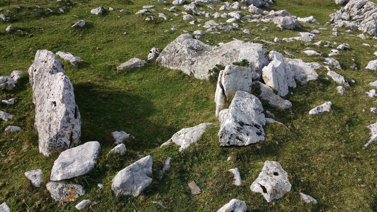 Kalparmuñobarrena trikuharria 4