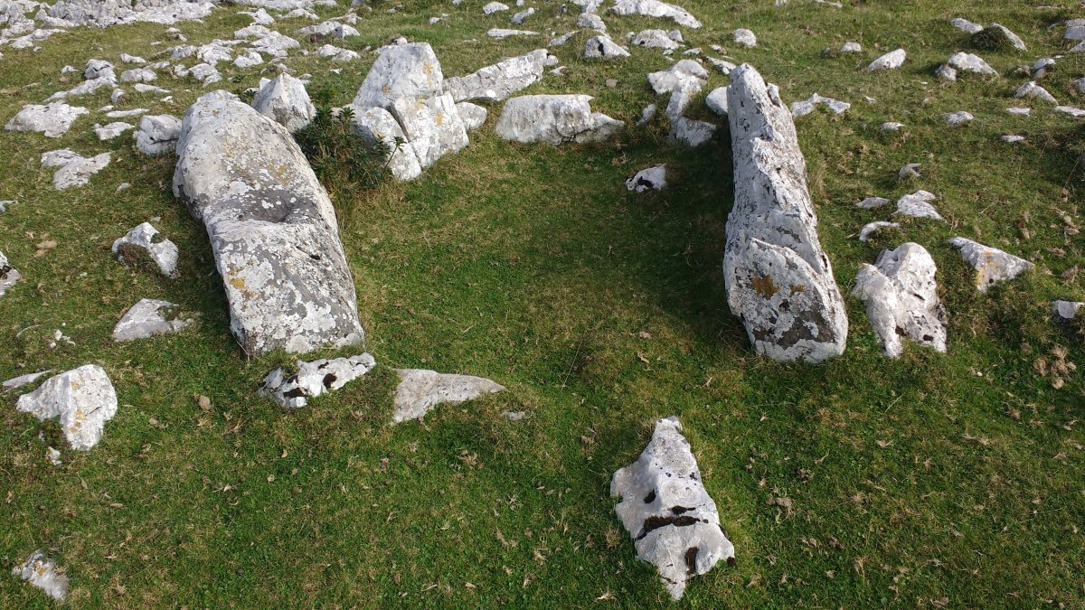 Kalparmuñobarrena trikuharria 2