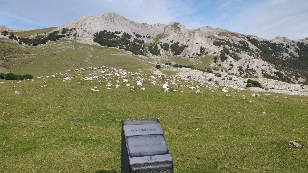 Pagobakoitza trikuharria (2017)