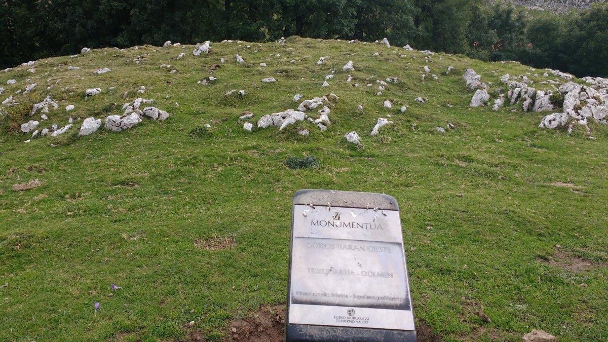 Gorostiaren Sart. trikuharria (2017)