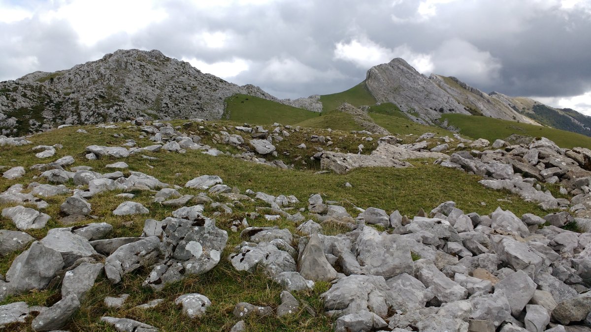 Aizkorritxo trikuharria 4