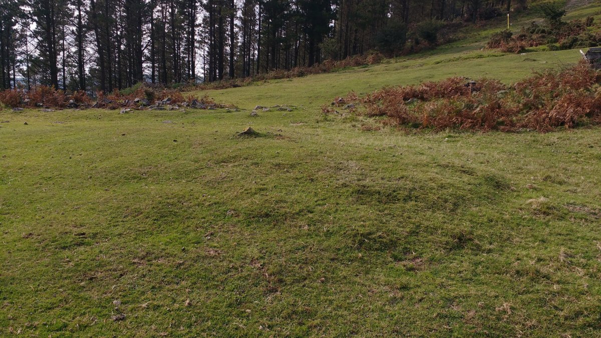 Pagobakarrra tumuloa 2