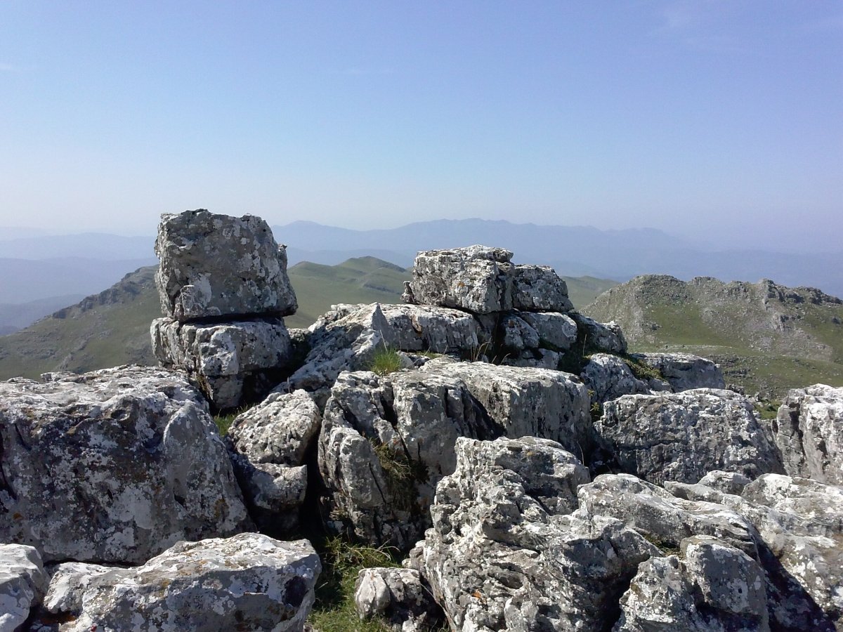 Zealar tontorra (1401m)