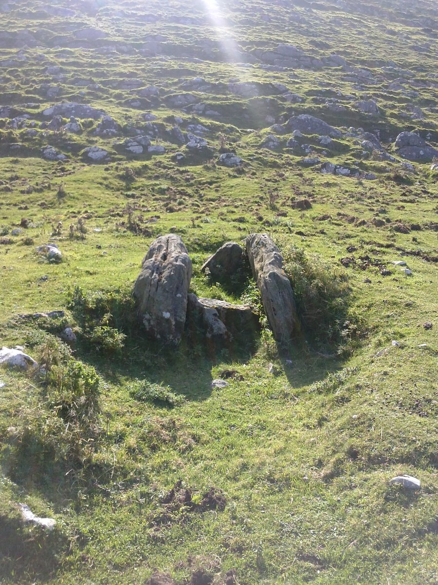 Ausokoi trikuharria 4