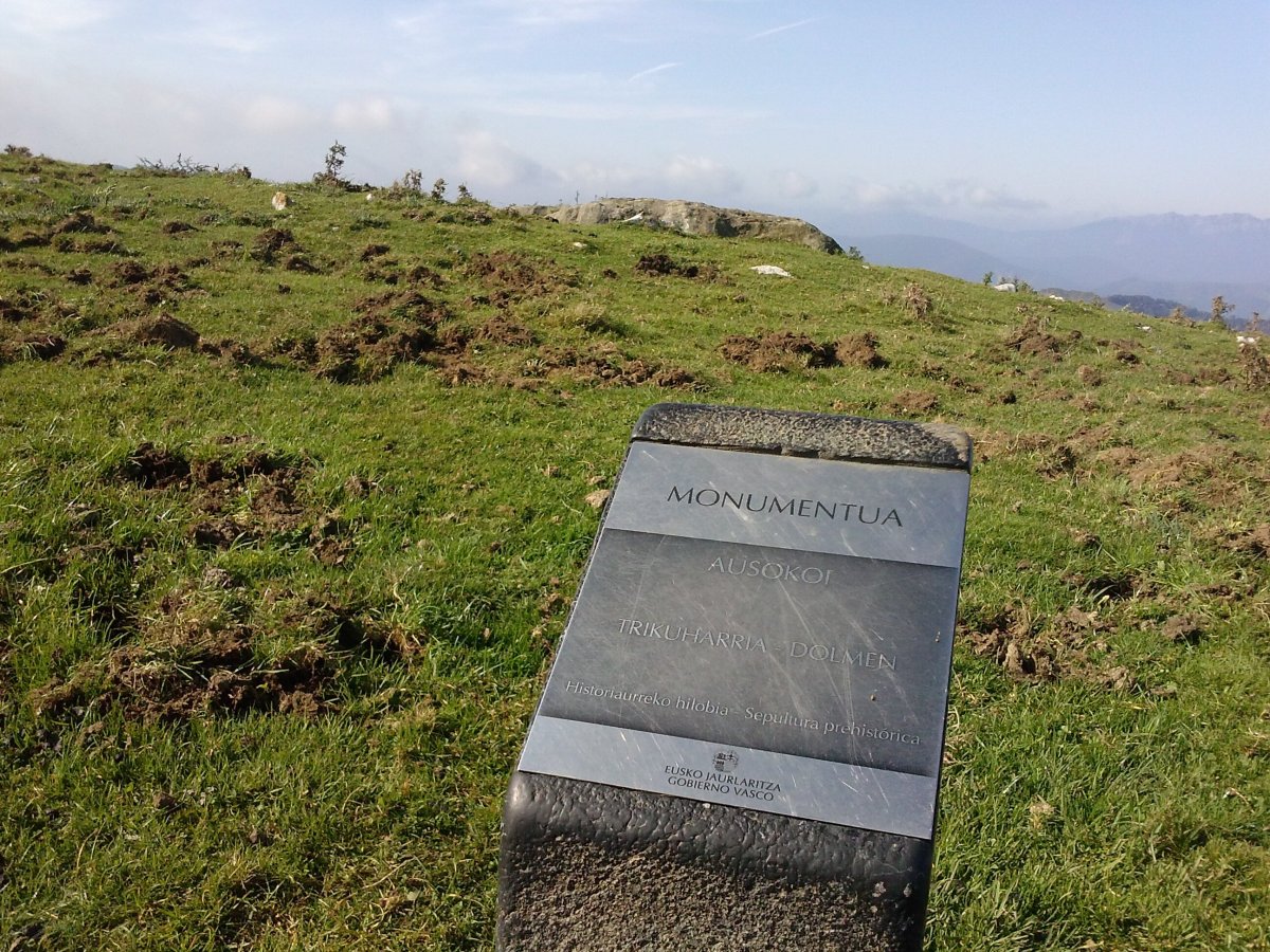 Ausokoi trikuharria (2017)