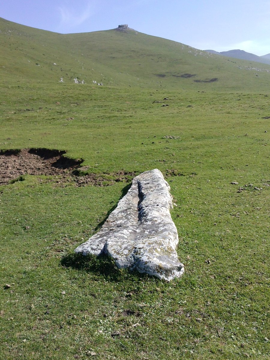 Saltarri zutarria 2
