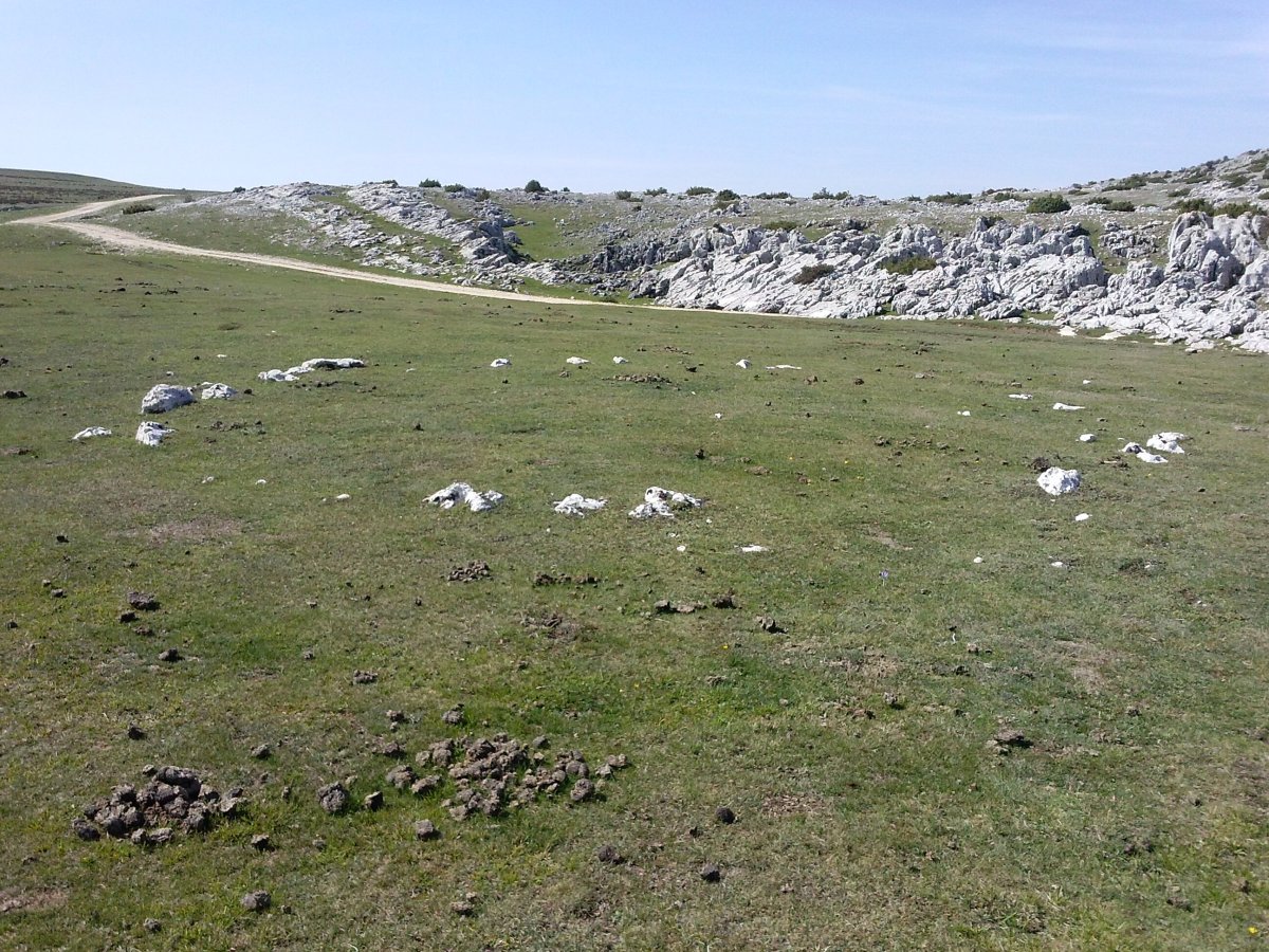 Balsa Fria (Idoiotz) 2 hego harrespila