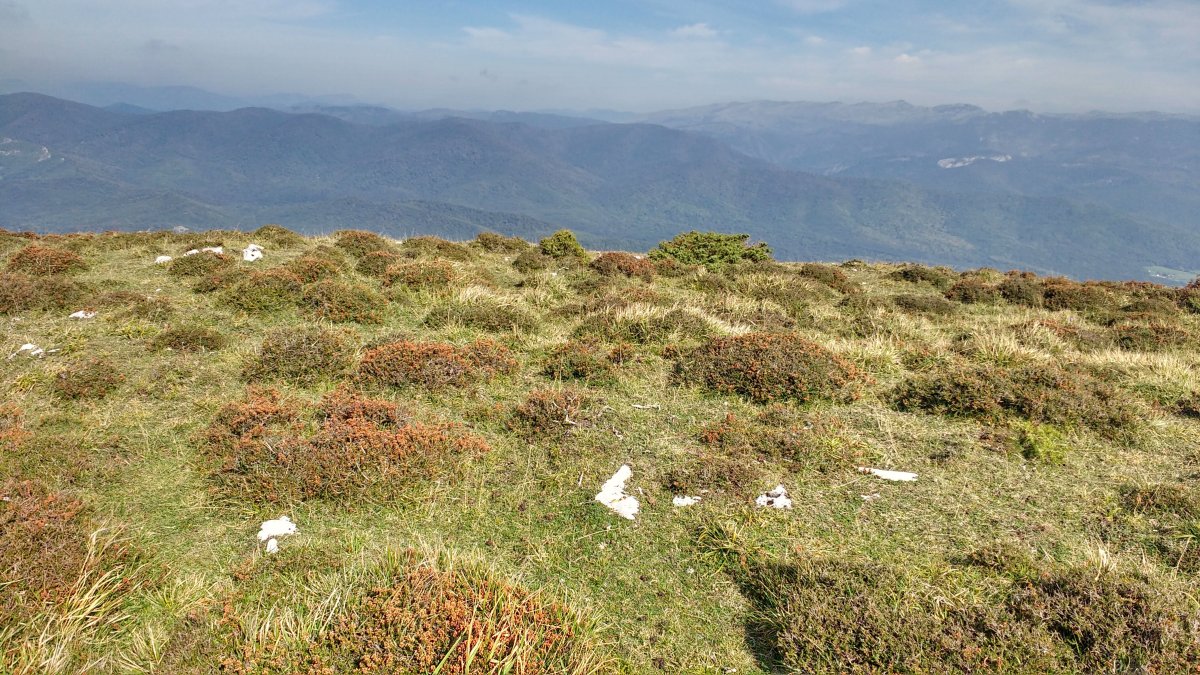 Arbotton eraztun-tumulua 3