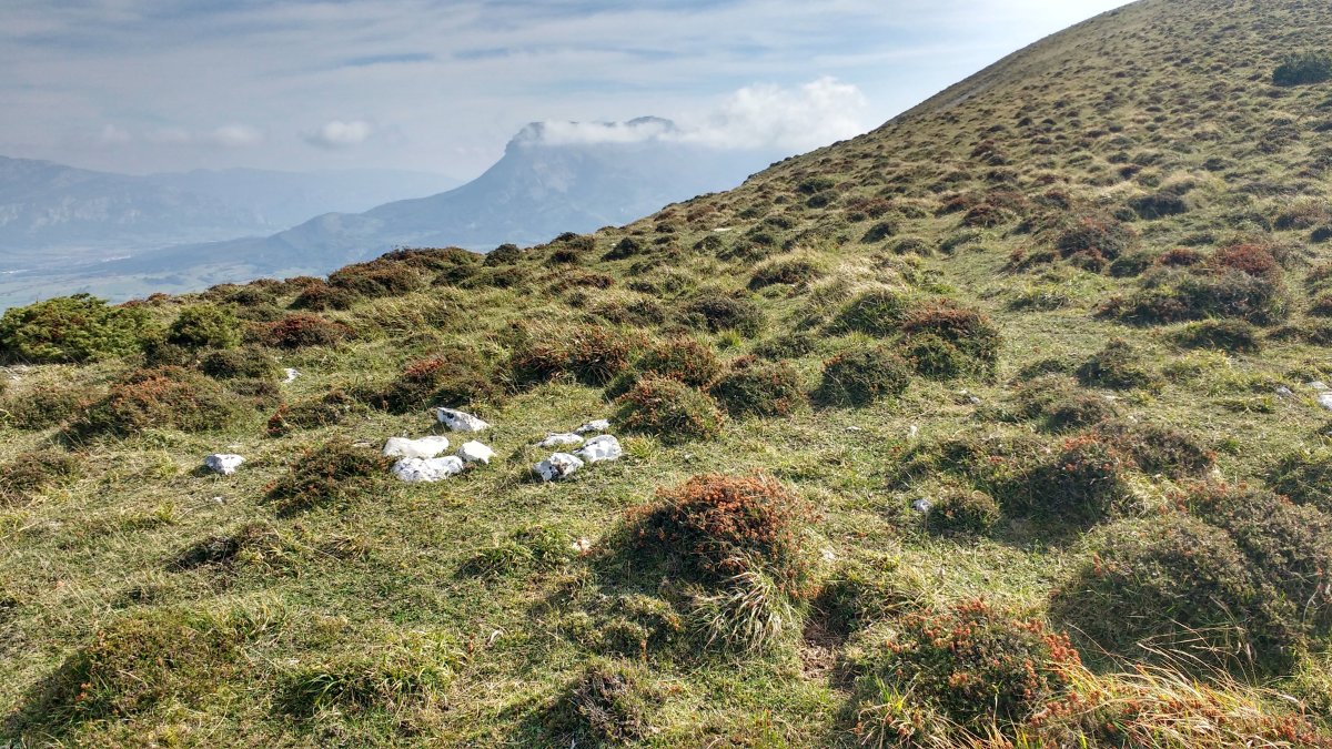 Arbotton eraztun-tumulua (2017)