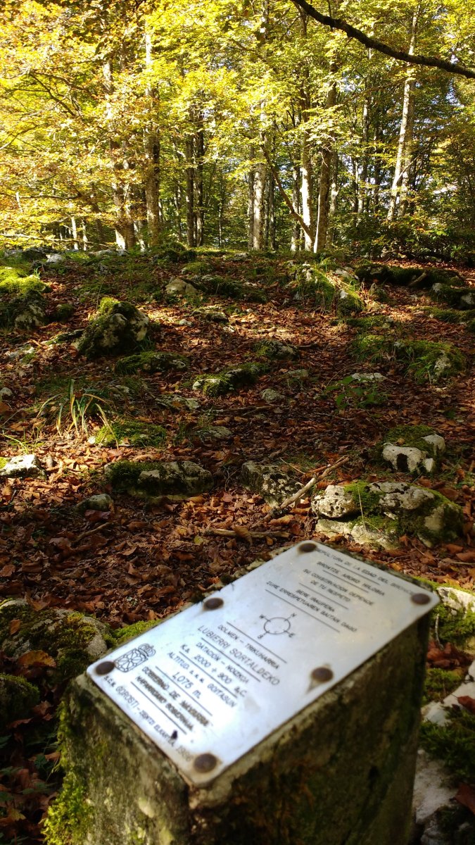 Lubierri 1 ekialde (Obas) trikuharria 2