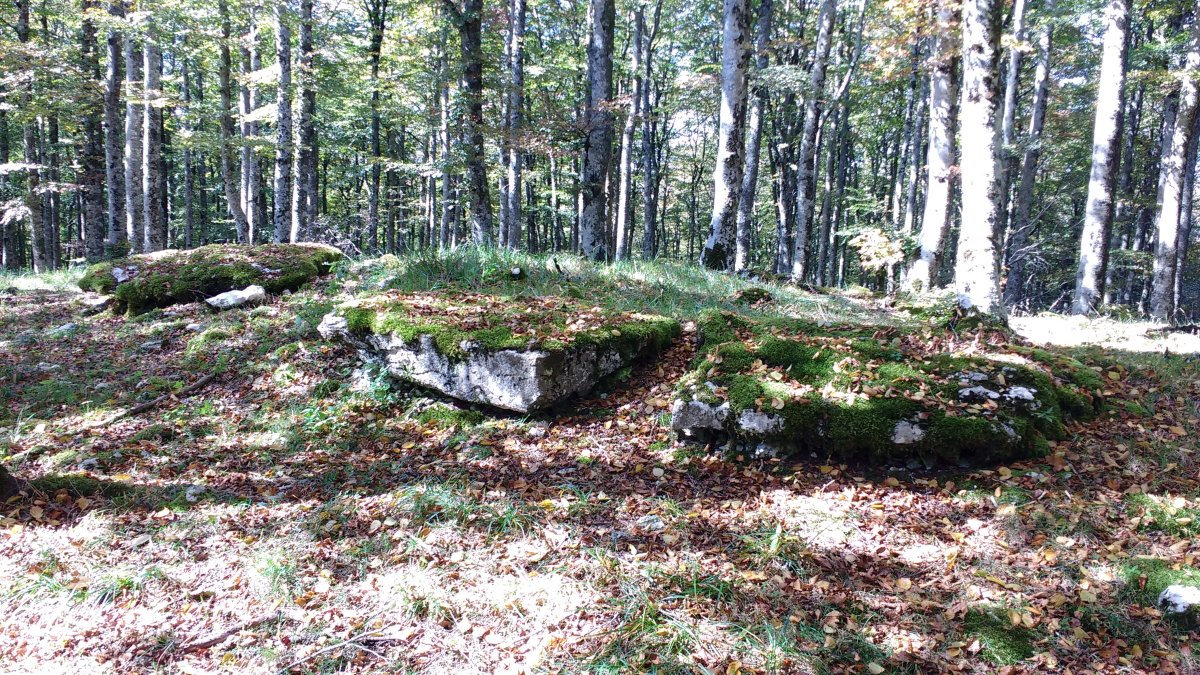 Lubierri 2 mendebal (Obas) trikuharria 5