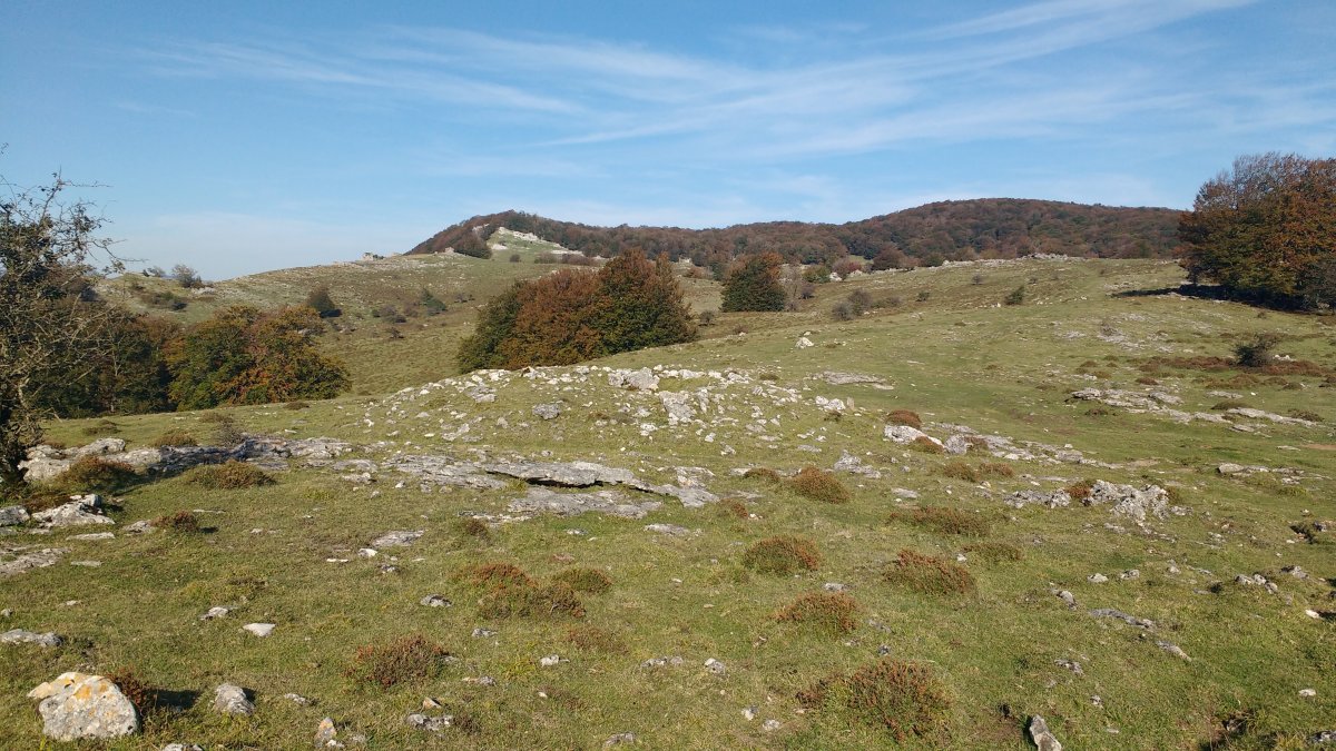 Sta. Marina (Txopordi) trikuharria (2017)