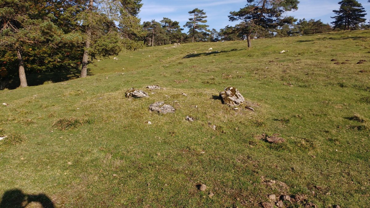 Sta. Marina (Txopordi) 2 Hego tumulua (2017)