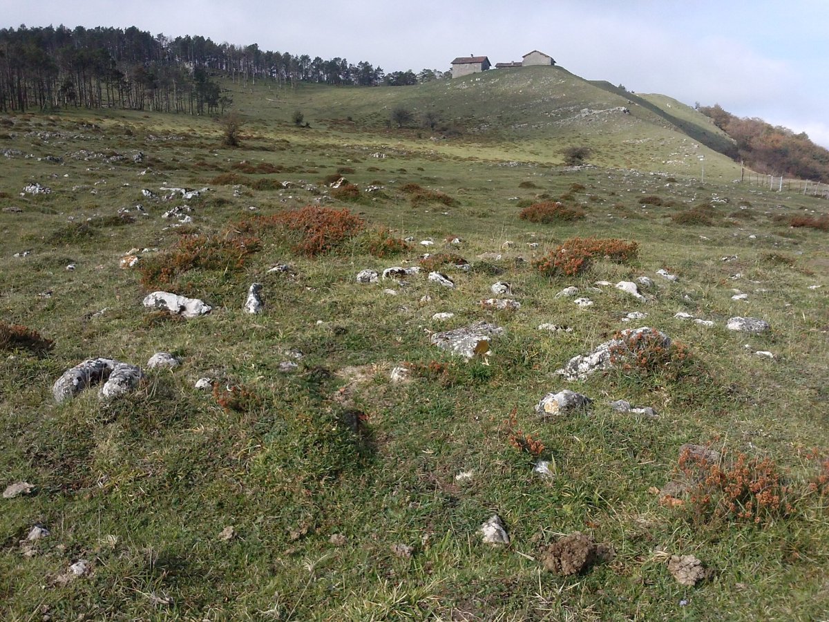 Iturmendiko portua 2 Ekialde tumulua 