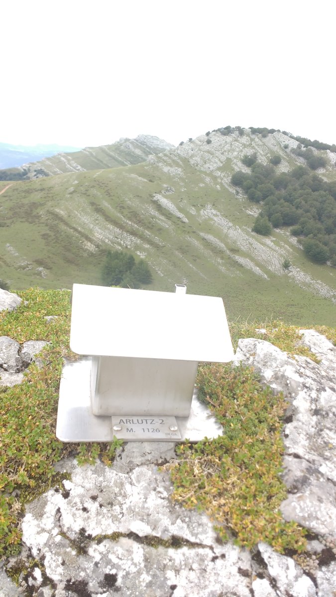 Arlutz tontorra E. (1126m)