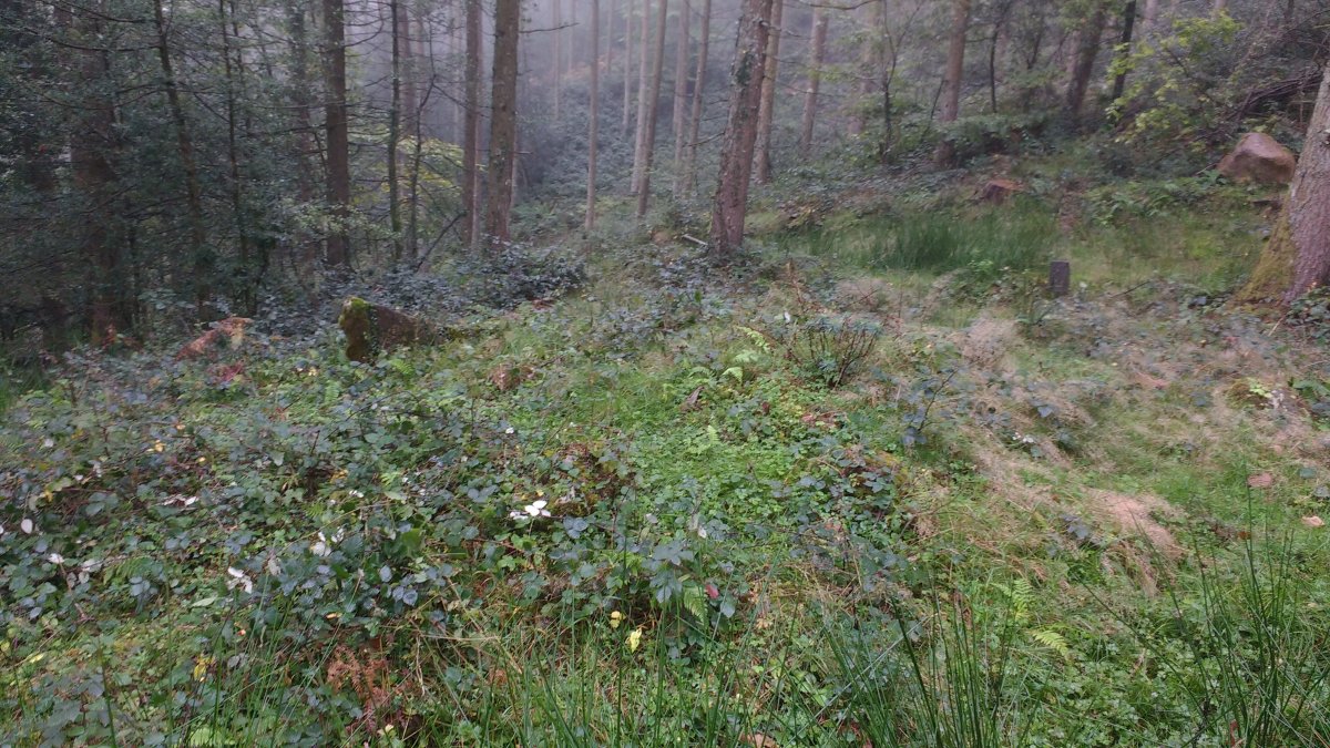 Matxitxane trikuharria 3