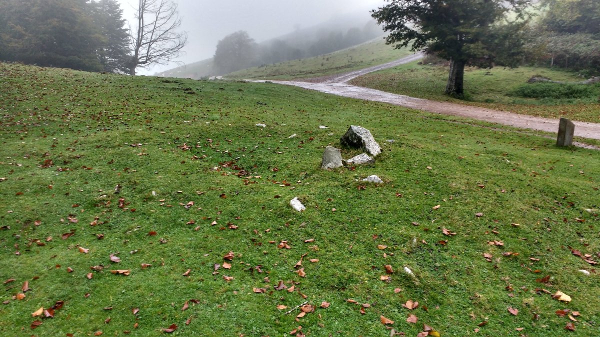 Arraztarangaina trikuharria 3