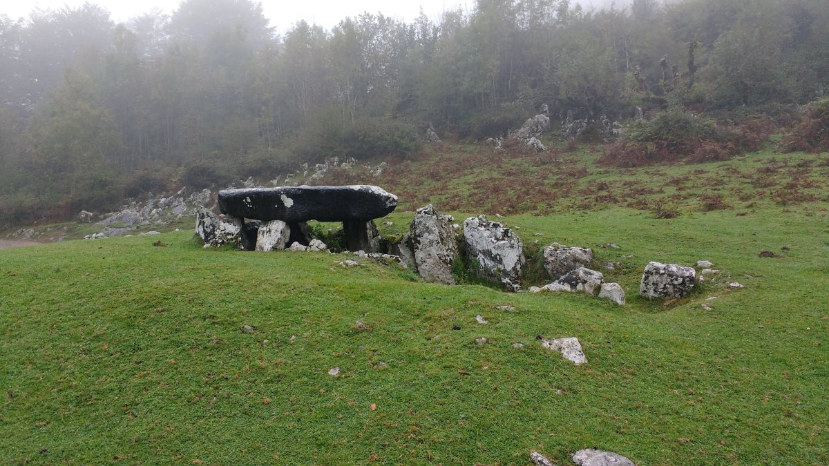 Jentilarri trikuharria 2