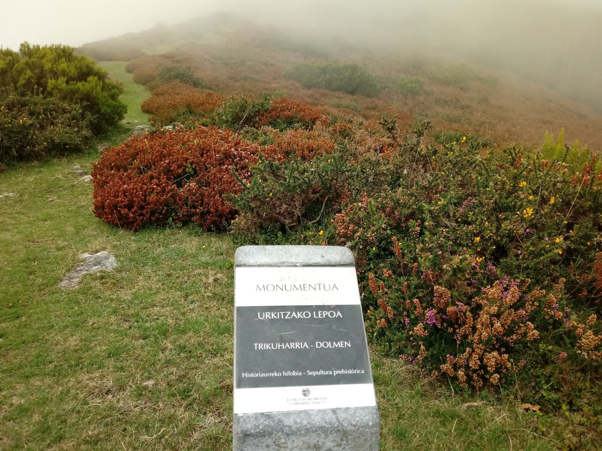 Urkitzako Lepoa trikuharria (2017)