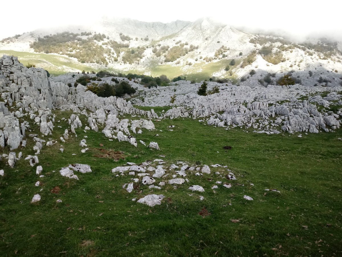 Erdikosaroia tumuloa 3