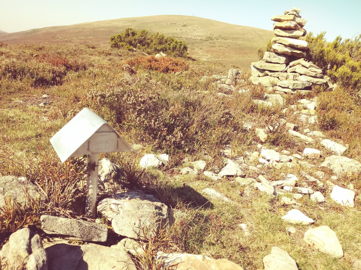 Arroriano tumuloa 4 tontorraren ondoan