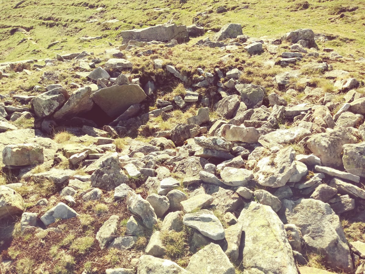 Igitaia trikuharria 2