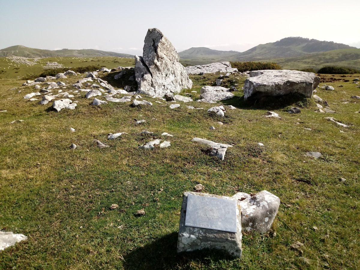 Trikuharri trikuharria (2017)