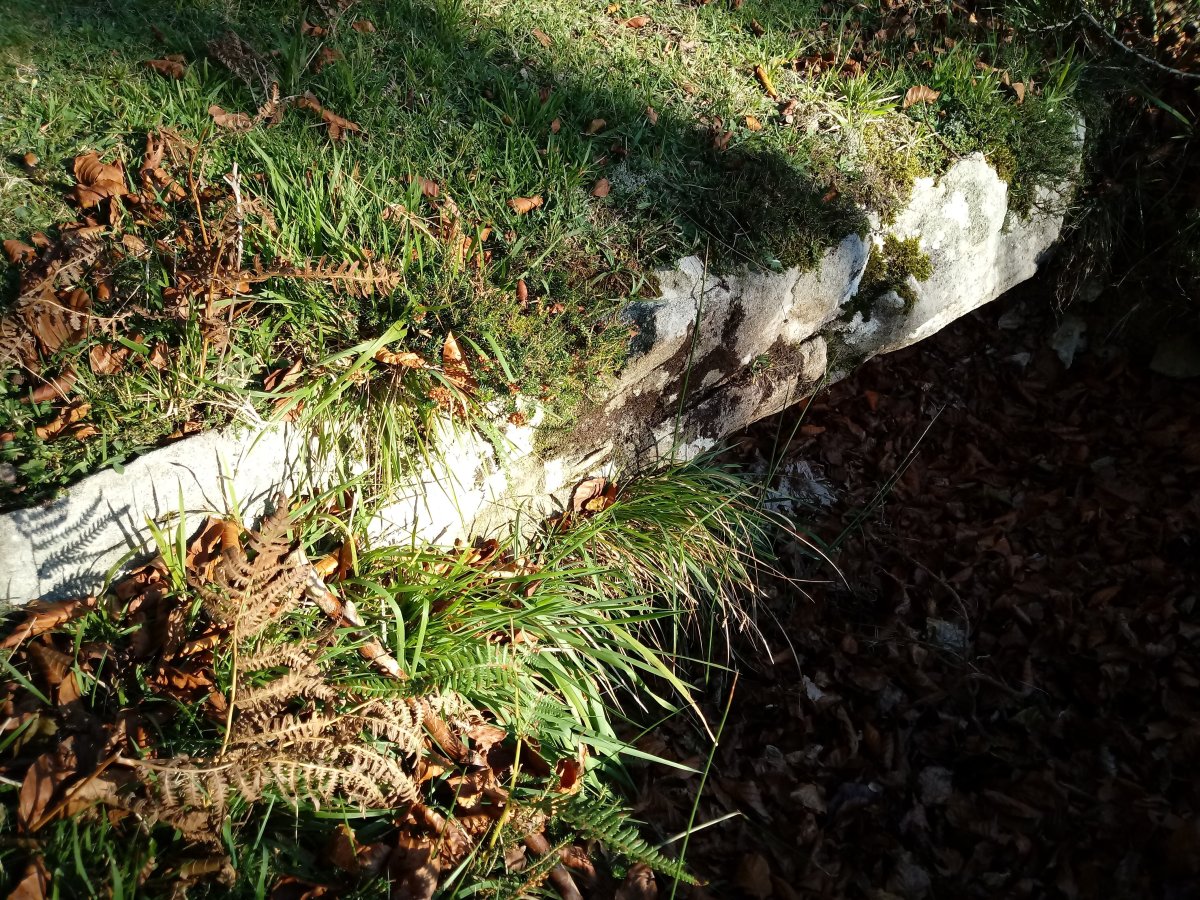 Garagartza trikuharria 3