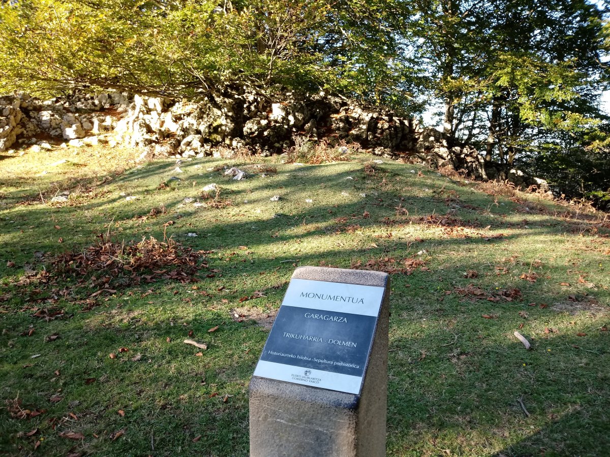 Garagartza trikuharria (2017)