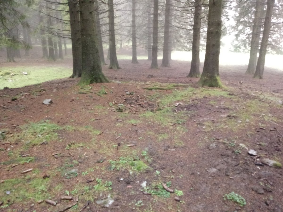 Mallako tumuloa (2017)