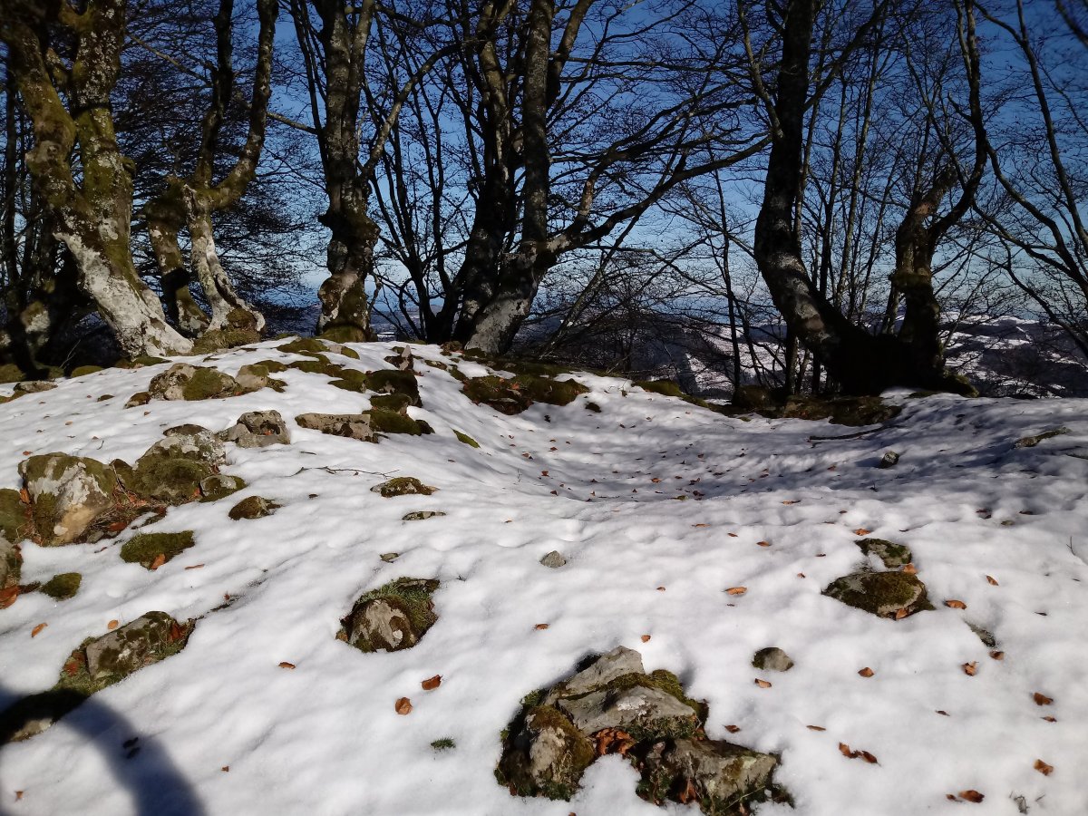 Atxolin Txiki tumuloa 3