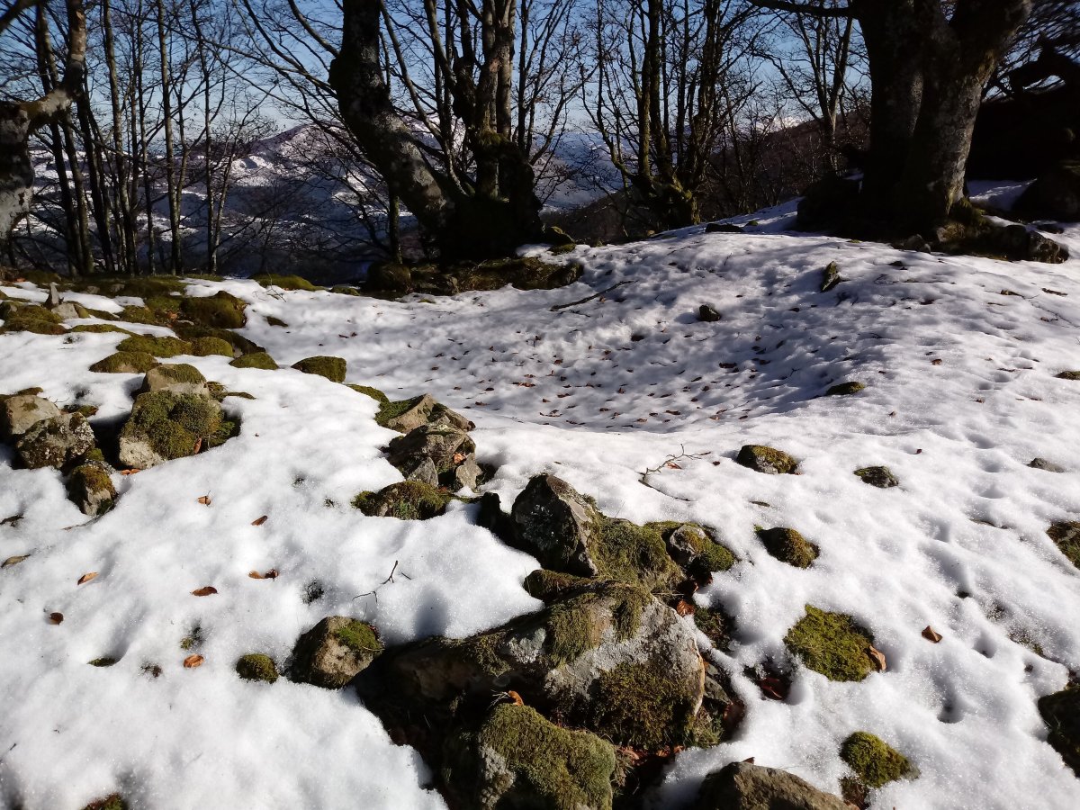 Atxolin Txiki tumuloa 2