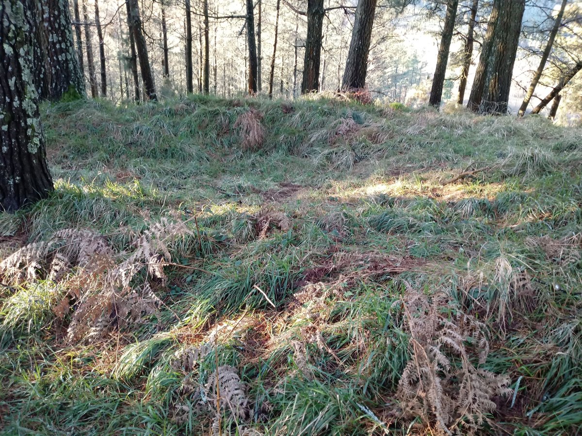 Kanpaizulo tumuloa 3