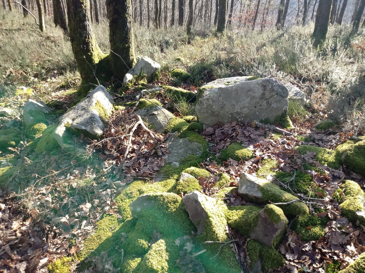 Urietagaña trikuharria 