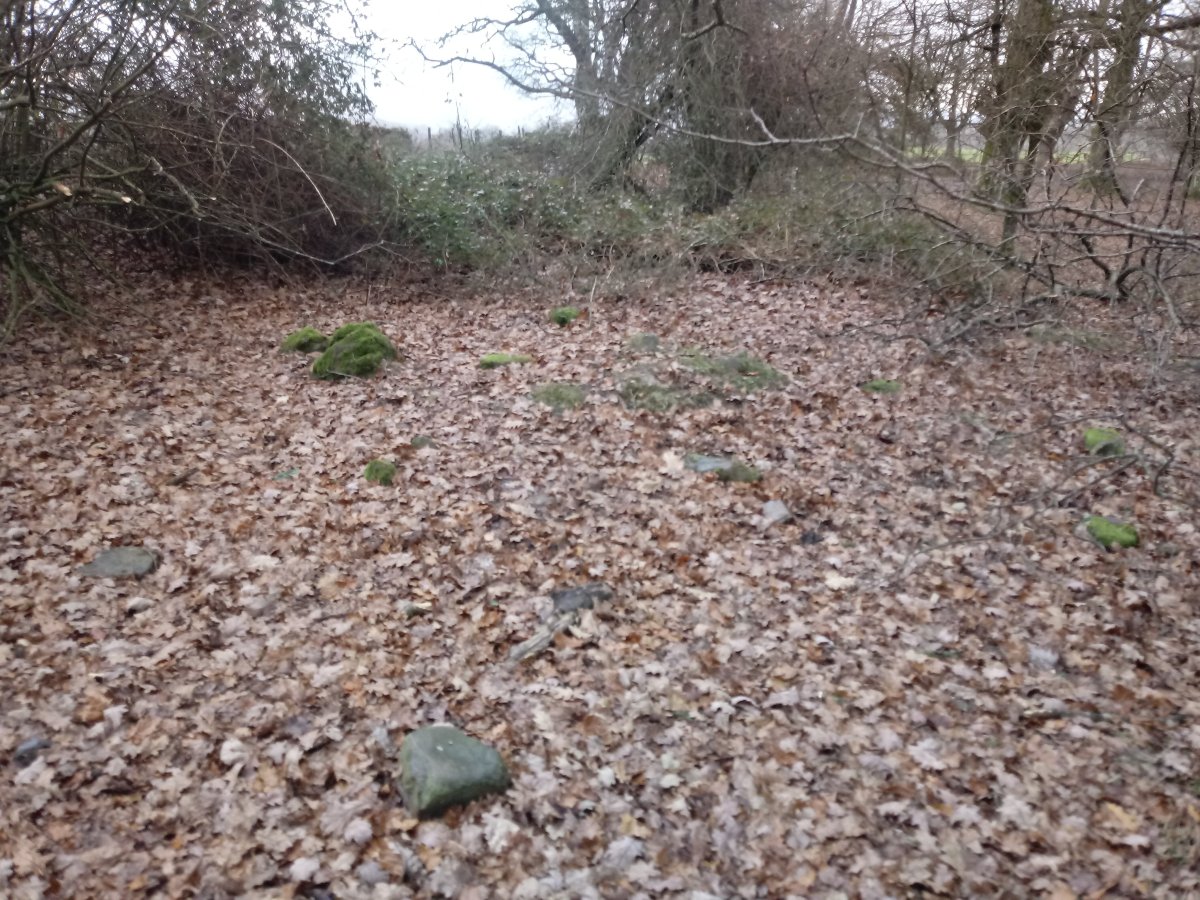 Luberi tumuloa (2017)