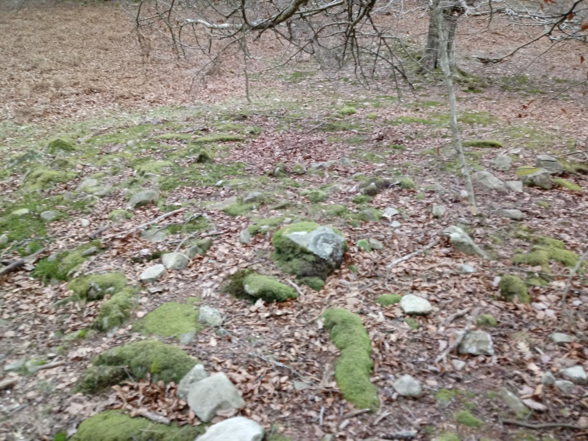 Motxotegi I tumuloa 2