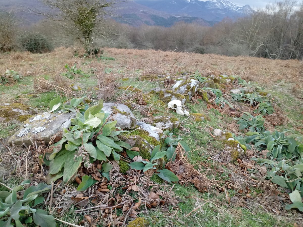 Motxotegi II tumuloa 2