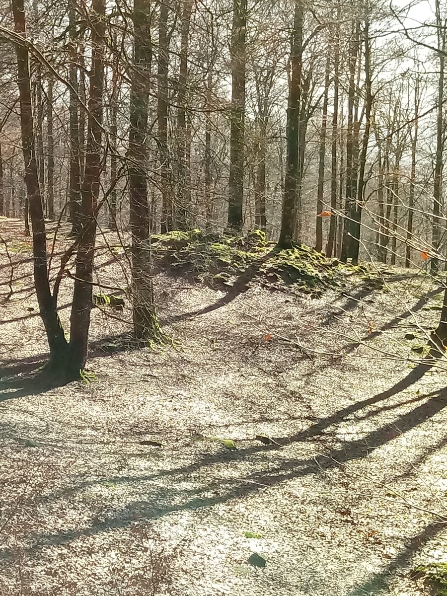 Portuzargaña 2 Mendebaldea trikuharria 3