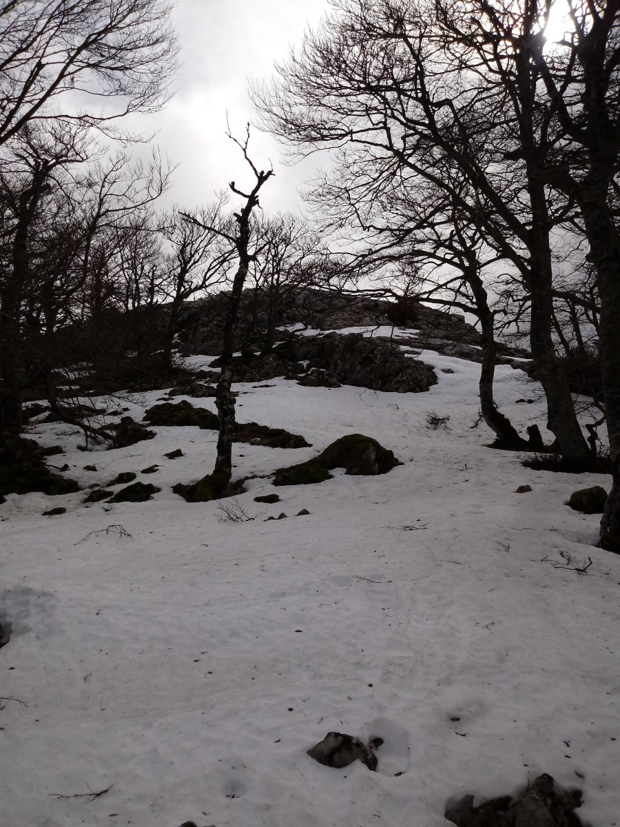 Zabalaitz (1264m), azken metroak
