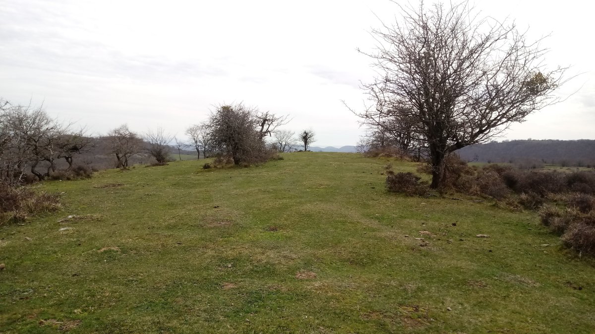 Artekobatza gaina (826m)